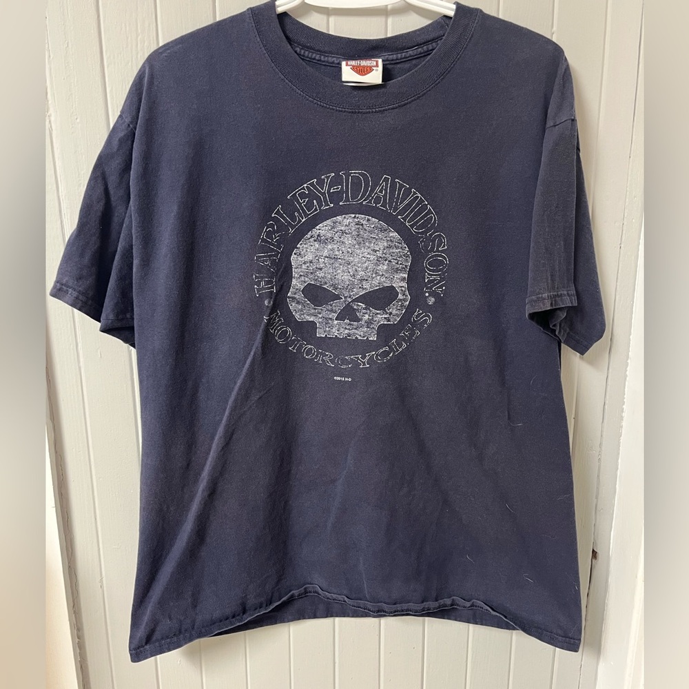 Vintage Harley Davidson Skull Thunderbay Ontario, Large